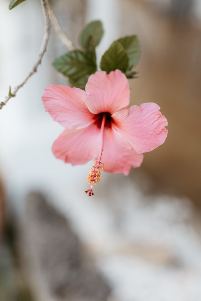 Hochzeitsfotograf Andalusien