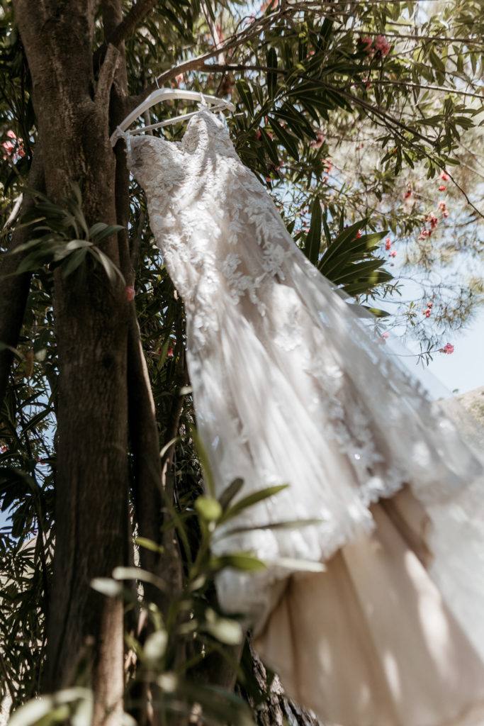 a white dress from a tree