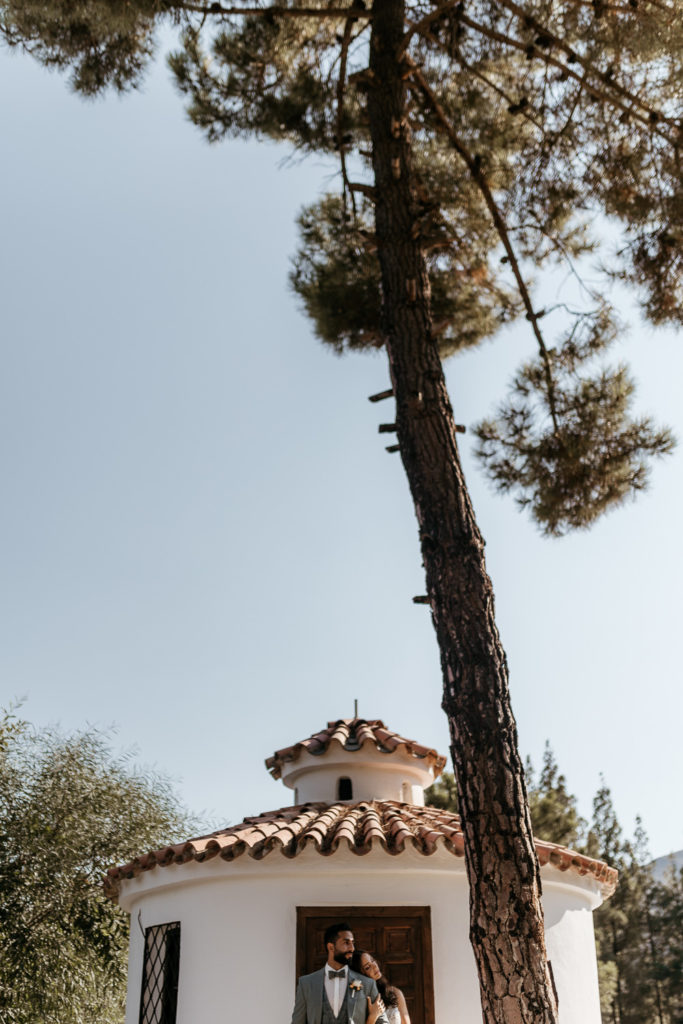 a tree and a building